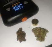 dedans Mighty Lamictal 4.webp