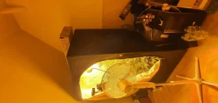 20230514_061739.webp