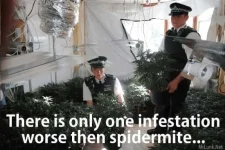 marijuana_meme_grow_infested.webp