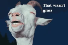 stoner-weed-meme-stoned-goat.webp