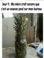 3366850562761.webp