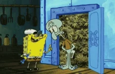 2-weed-meme-compressed.webp