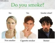 how-to-tell-if-someone-is-a-stoner.webp