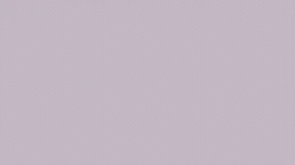 photo plante 4.webp photo plante 4.webp