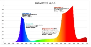budmaster 2 god 1200.webp budmaster 2 god 1200.webp
