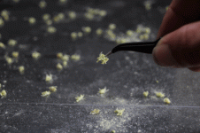 POPO4.gif.3b4a3b71d3e606680638e5d53f7834fc.gif.547a6895aba99a8e8d7662ff9ddfc983.gif