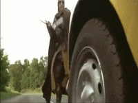 KYRqG1.gif KYRqG1.gif