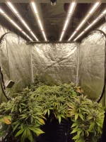 IMG_20230115_195156.webp