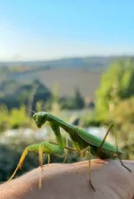 20231009_090934.webp