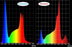 spectre Isled V5C et V6.1PF bis.webp