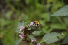 IMG_1412 - copie.webp