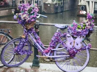 IMG_20230921_125249 (Grand).webp IMG_20230921_125249 (Grand).webp