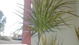 IMAG1034.webp