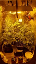 chambre gene.webp chambre gene.webp