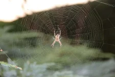 IMG_1814.webp