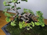 IMG_20230925_163808.webp