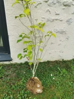 IMG_20230917_165833.webp