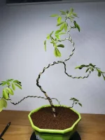 IMG_20230925_161125.webp