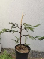 IMG_20220916_145626.webp