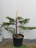 IMG_20220916_102945.webp