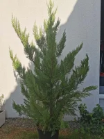 IMG_20220915_174118.webp