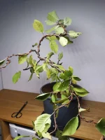 IMG_20230925_160720.webp