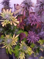 IMG_20231230_174102.webp