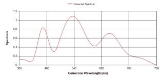 3.webp