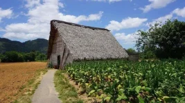 cuba-1936263_1280-910x512.webp cuba-1936263_1280-910x512.webp