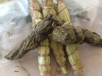 picture (14).webp