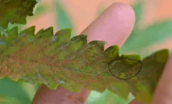 DSC_0015.webp