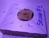 Skunk #1.webp