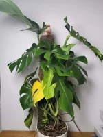 IMG_20231009_130037.webp