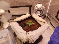 20240325_201757.webp 20240325_201757.webp