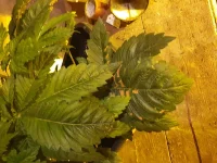 20240112_223931.webp