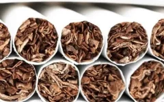 villiger-so-what-makes-a-cigarillo-difference-from-a-cigarette-bild3_big_2x.webp