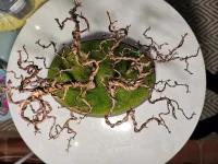 IMG_20240226_015931.webp