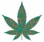 Feuille Canna stencil2.webp