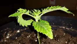 20170122_185247.webp