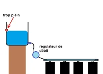 culture exterieure goutte à goutte automatique.webp