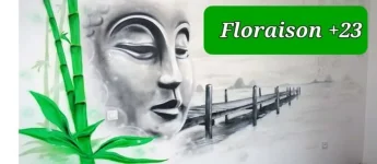 bouddha.jpg.38077006e10511f09b08b98527dabe3c.webp