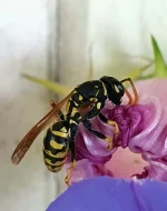 20240803_133907.webp