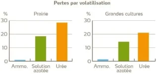 Pertes d'azote par volatilisation par forme d'azote.webp