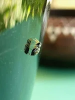 20240804_164348.webp