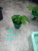 20241011_125913.webp