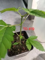 20240929_162625.webp