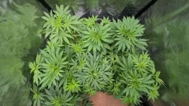 IMG-20240922-WA0002.webp