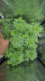 IMG-20240922-WA0005.webp