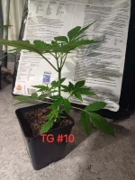 20240922_180224.webp