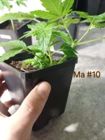 20240923_173651.webp